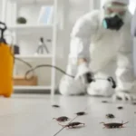 مكافحة الصراصير بالرياض – حلول فعالة للتخلص من الصراصير وحماية منزلك